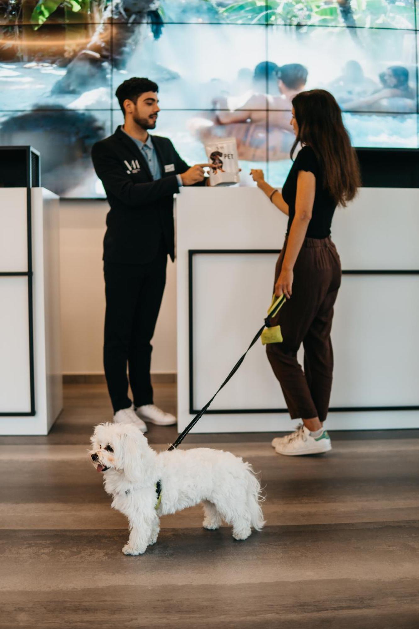 J44 Lifestyle Hotel Lido di Jesolo Eksteriør billede Dog at the reception of a hotel